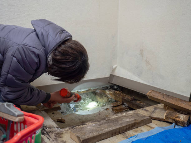 Best Comprehensive Air Testing for Mold Contaminants  in Gambier, OH
