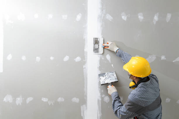 Best Mold-Related Health Consultation  in Gambier, OH