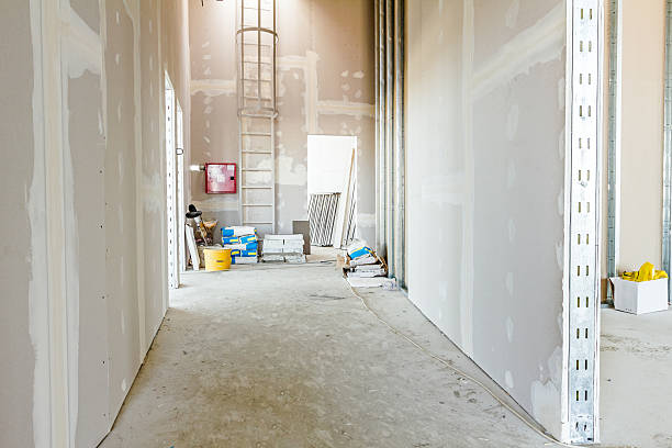 Best Forensic Mold Investigation  in Gambier, OH