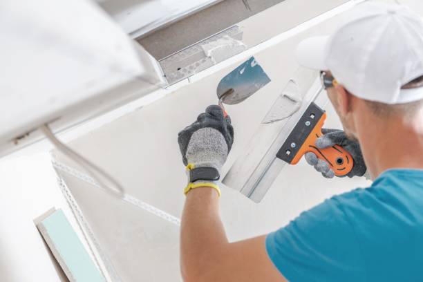 Best Black Mold Removal  in Gambier, OH